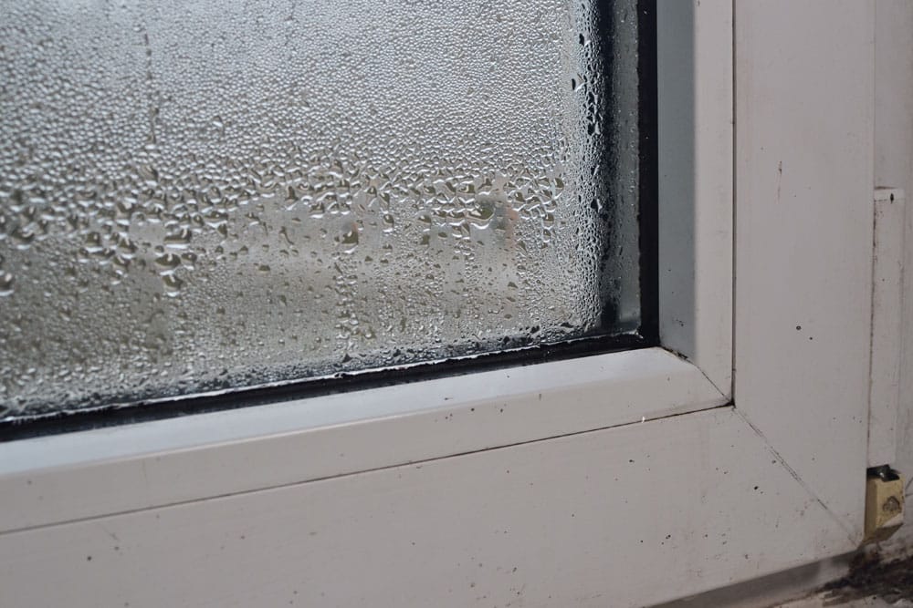 Condensation au bas d'une fenetre causant de la moisissure.